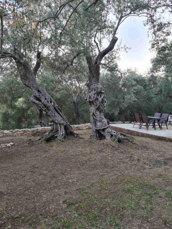 Olea Cottage Ulcinj Exterior photo