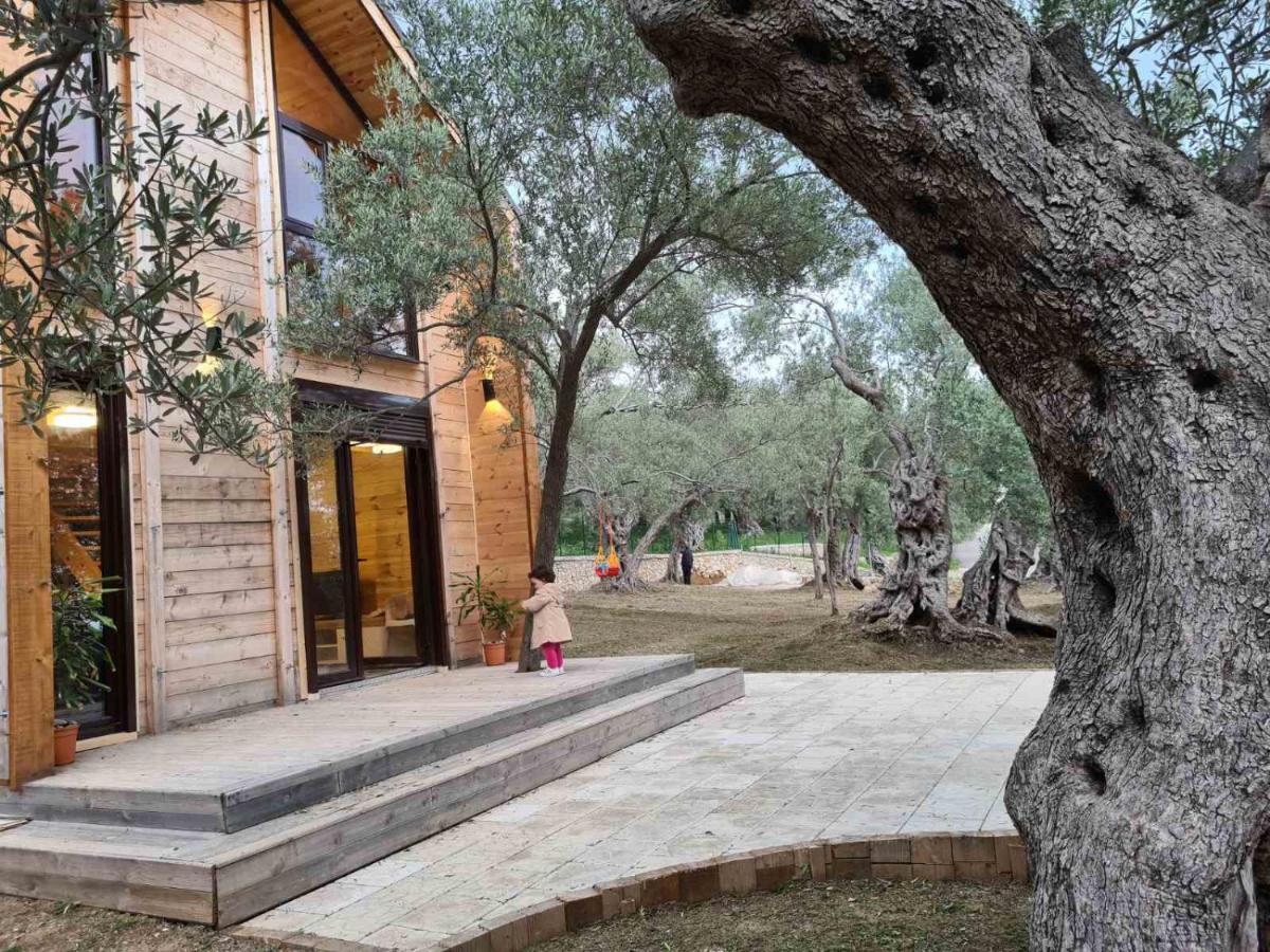 Olea Cottage Ulcinj Exterior photo